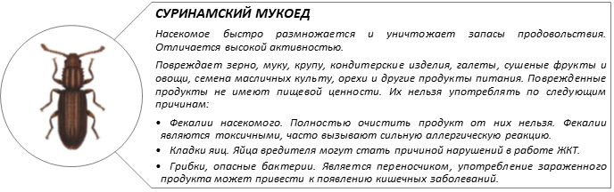 вставка 1 .png