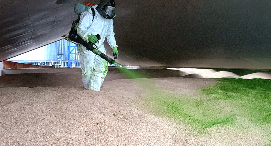 Колорирование зерна1.png